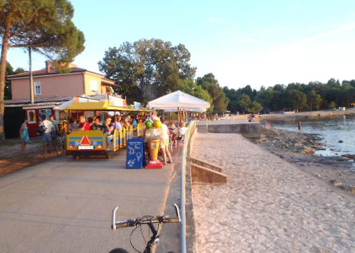 Jurisevic Lejlighed *