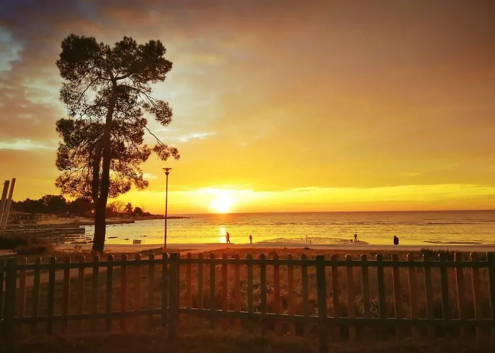 Jurisevic Umag