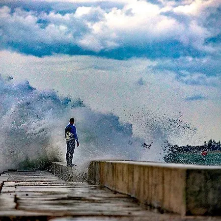Jurisevic