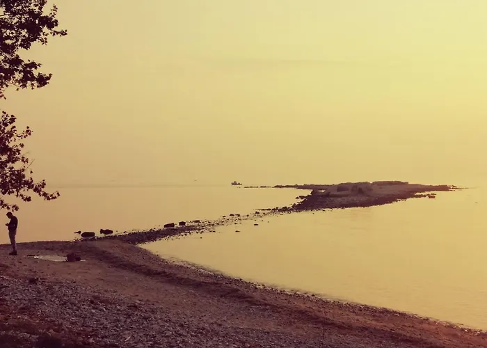 Jurisevic 아파트 *