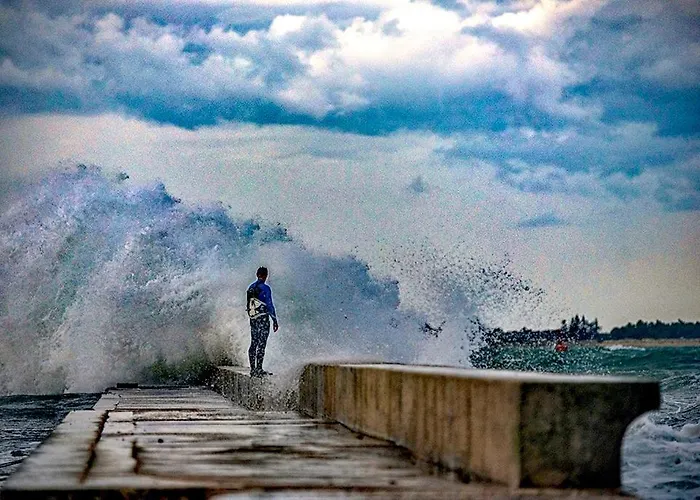 Jurisevic