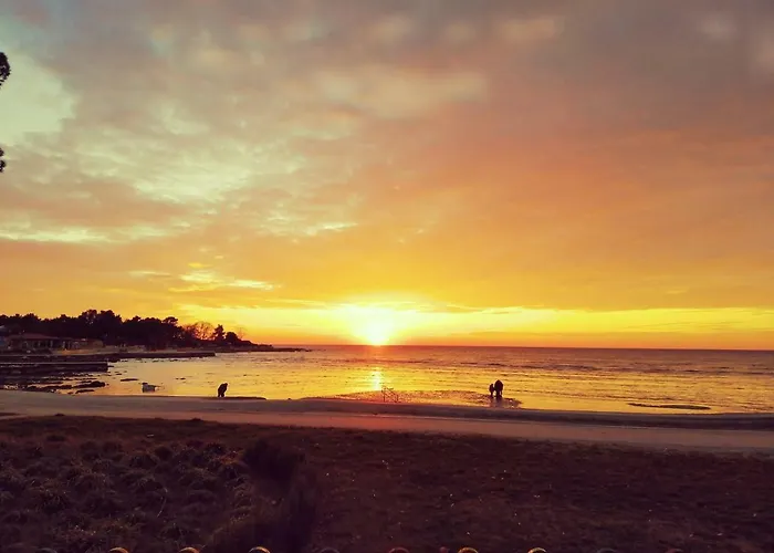 Jurisevic 아파트 우마그