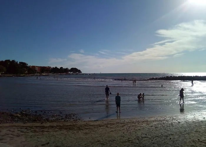 Jurisevic 아파트 *